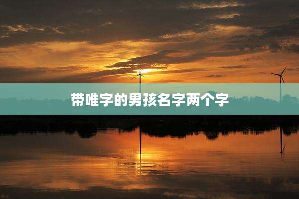 带唯字的男孩名字两个字