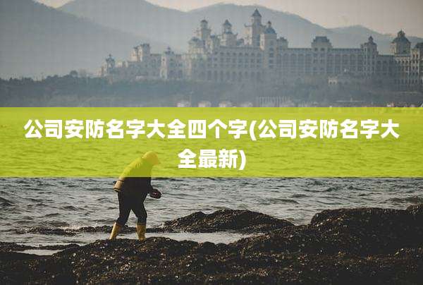 公司安防名字大全四个字(公司安防名字大全最新)