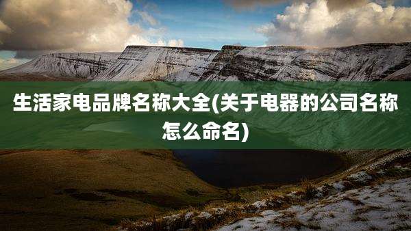 生活家电品牌名称大全(关于电器的公司名称怎么命名)