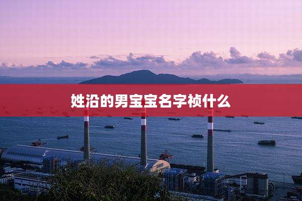 姓沿的男宝宝名字祯什么