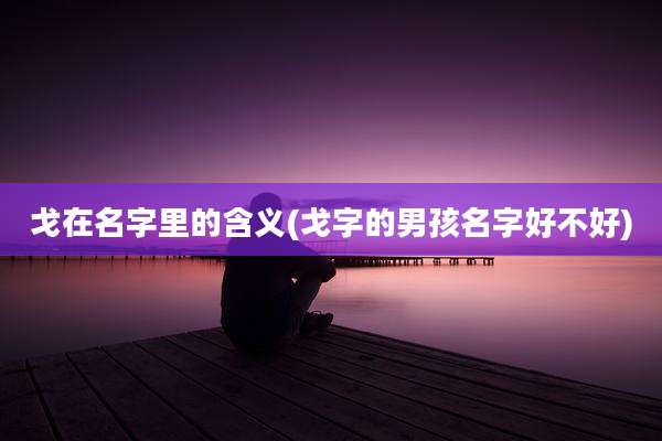戈在名字里的含义(戈字的男孩名字好不好)