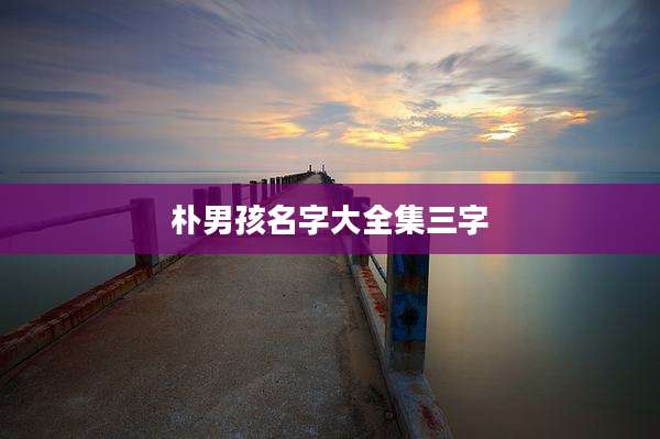 朴男孩名字大全集三字