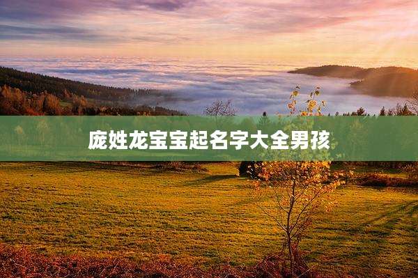 庞姓龙宝宝起名字大全男孩