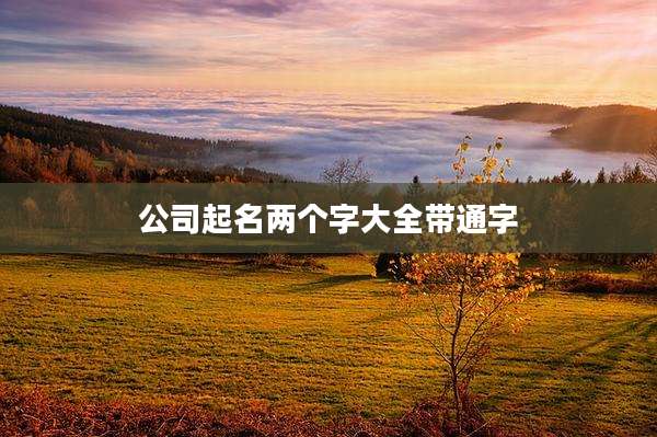 公司起名两个字大全带通字