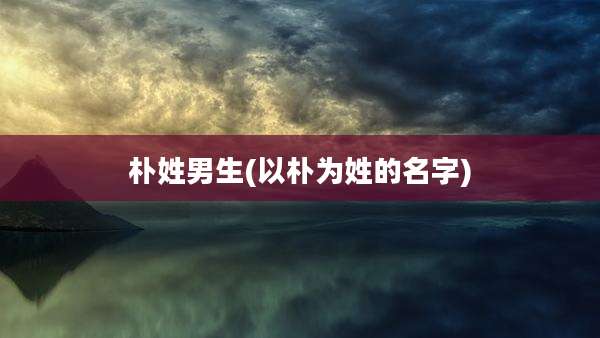 朴姓男生(以朴为姓的名字)
