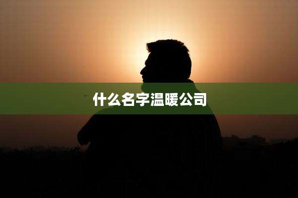 什么名字温暖公司
