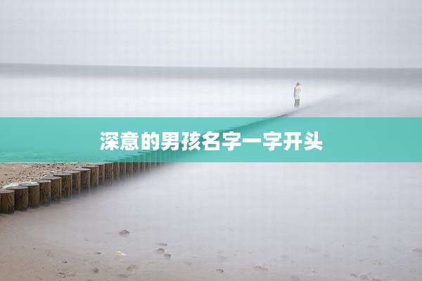 深意的男孩名字一字开头