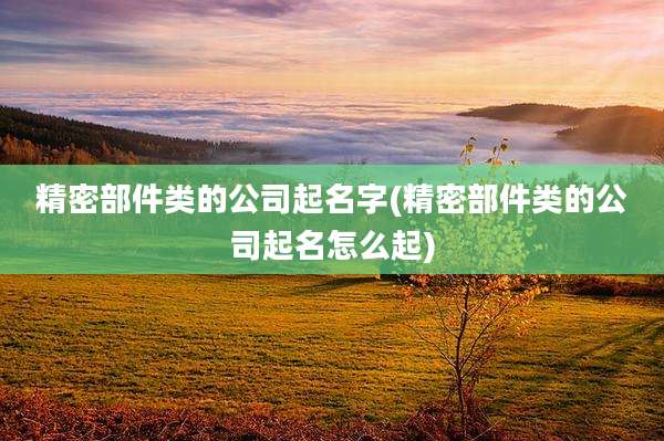 精密部件类的公司起名字(精密部件类的公司起名怎么起)