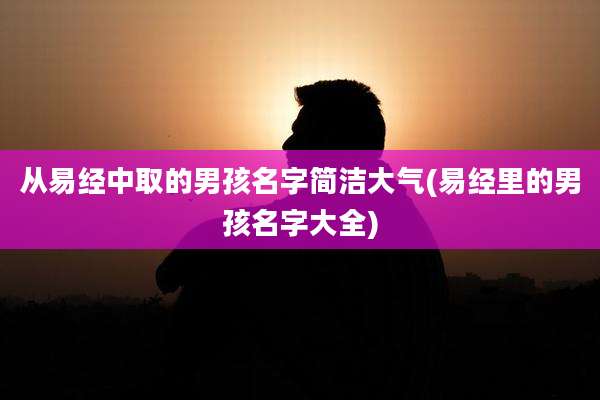从易经中取的男孩名字简洁大气(易经里的男孩名字大全)