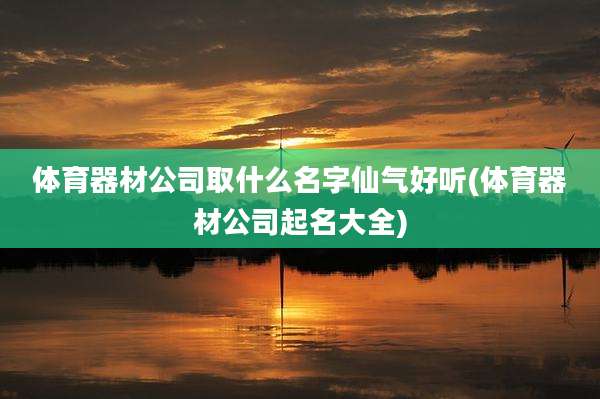 体育器材公司取什么名字仙气好听(体育器材公司起名大全)