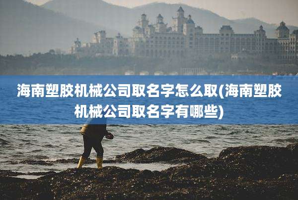 海南塑胶机械公司取名字怎么取(海南塑胶机械公司取名字有哪些)
