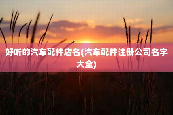 好听的汽车配件店名(汽车配件注册公司名字大全)