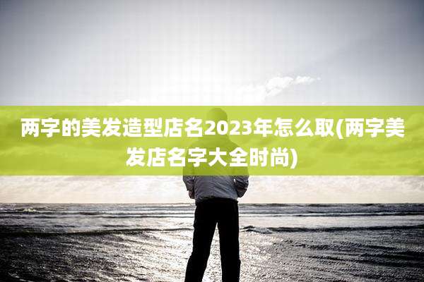 两字的美发造型店名2023年怎么取(两字美发店名字大全时尚)