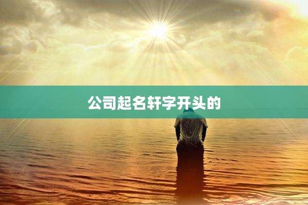 公司起名轩字开头的