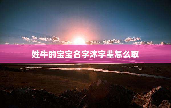 姓牛的宝宝名字沐字辈怎么取