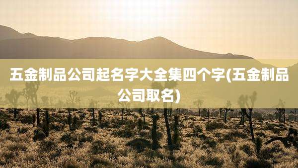 五金制品公司起名字大全集四个字(五金制品公司取名)