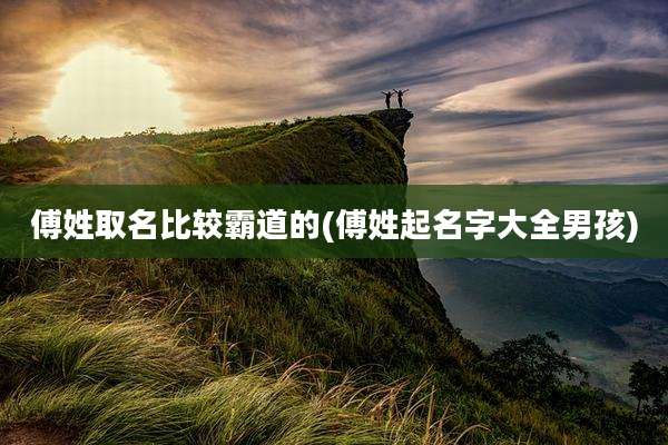 傅姓取名比较霸道的(傅姓起名字大全男孩)