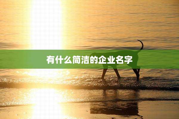 有什么简洁的企业名字
