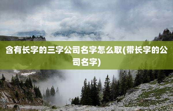 含有长字的三字公司名字怎么取(带长字的公司名字)
