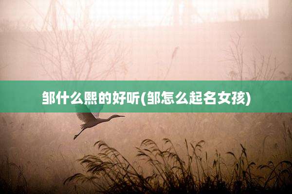 邹什么熙的好听(邹怎么起名女孩)