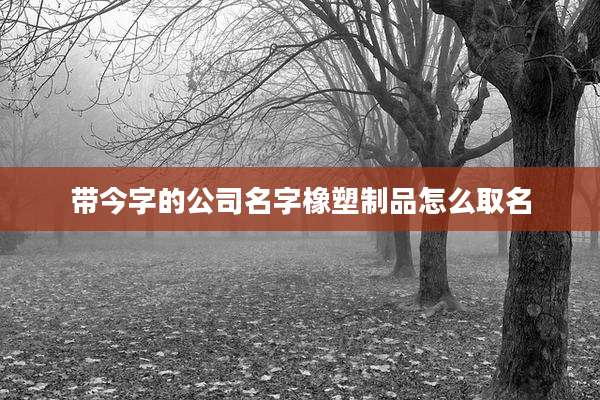 带今字的公司名字橡塑制品怎么取名
