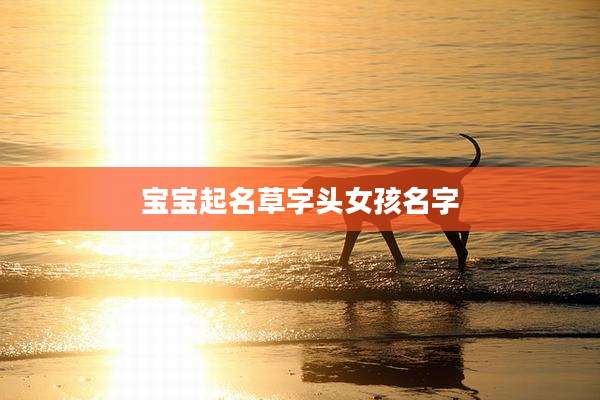 宝宝起名草字头女孩名字
