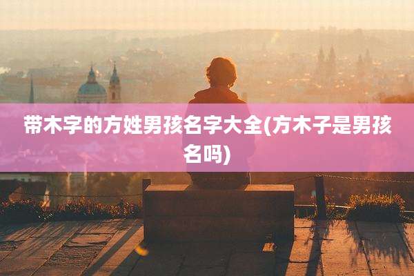 带木字的方姓男孩名字大全(方木子是男孩名吗)