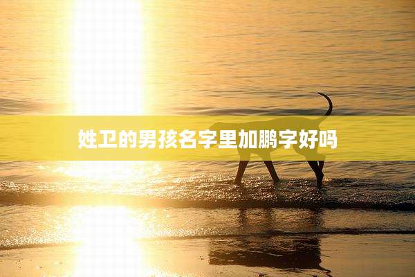 姓卫的男孩名字里加鹏字好吗