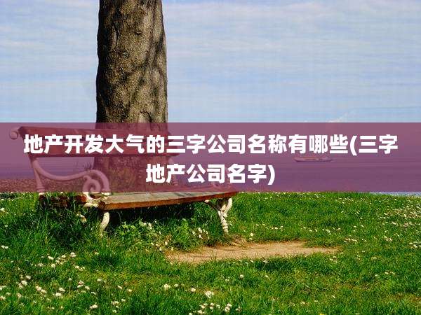 地产开发大气的三字公司名称有哪些(三字地产公司名字)