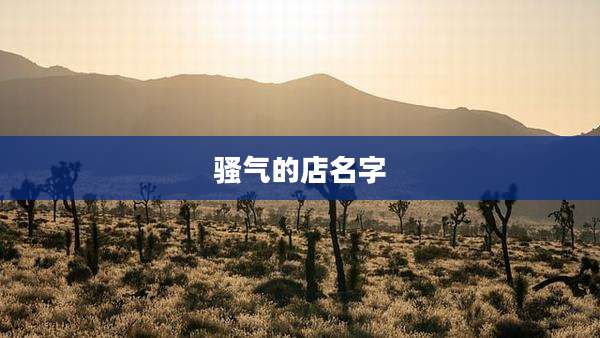骚气的店名字
