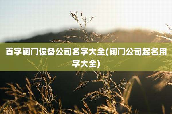 首字阀门设备公司名字大全(阀门公司起名用字大全)