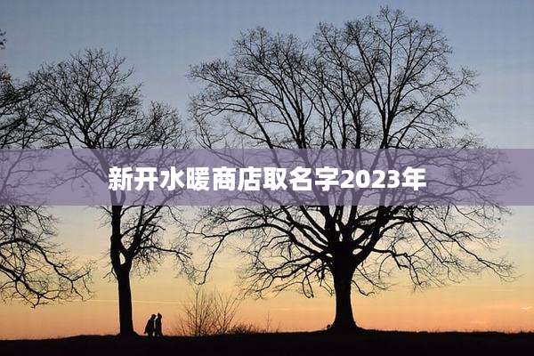 新开水暖商店取名字2023年