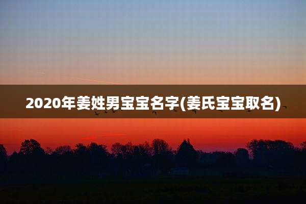 2020年姜姓男宝宝名字(姜氏宝宝取名)