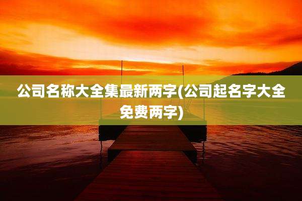 公司名称大全集最新两字(公司起名字大全免费两字)