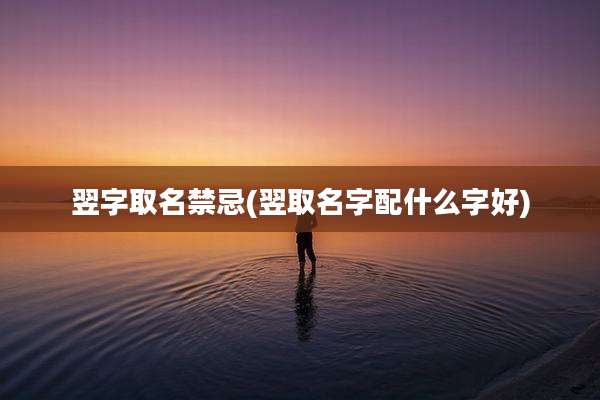 翌字取名禁忌(翌取名字配什么字好)