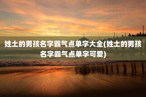 姓土的男孩名字霸气点单字大全(姓土的男孩名字霸气点单字可爱)