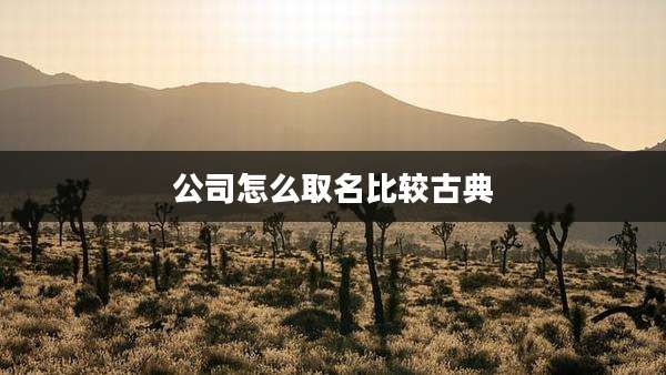 公司怎么取名比较古典