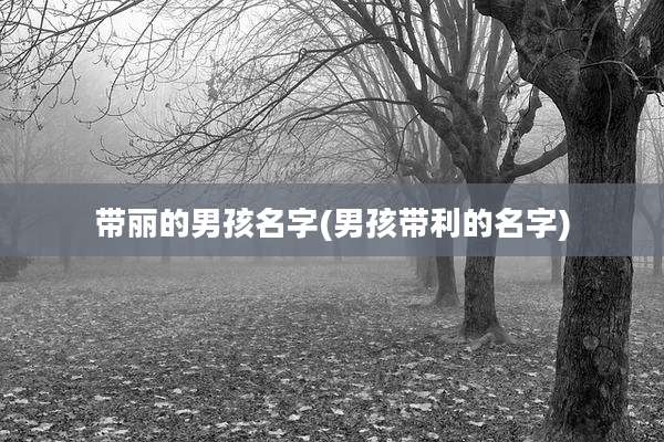 带丽的男孩名字(男孩带利的名字)