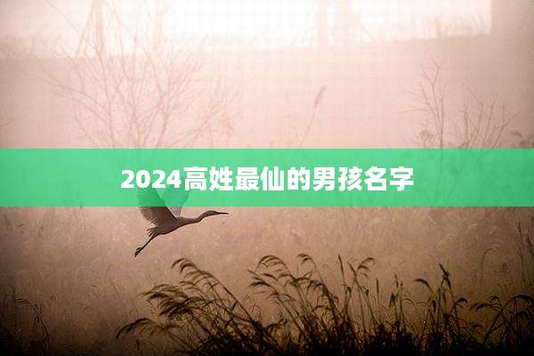 2024高姓最仙的男孩名字