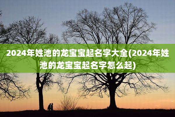 2024年姓池的龙宝宝起名字大全(2024年姓池的龙宝宝起名字怎么起)