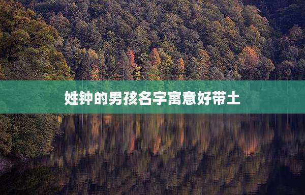 姓钟的男孩名字寓意好带土