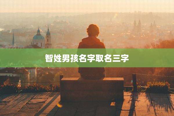智姓男孩名字取名三字