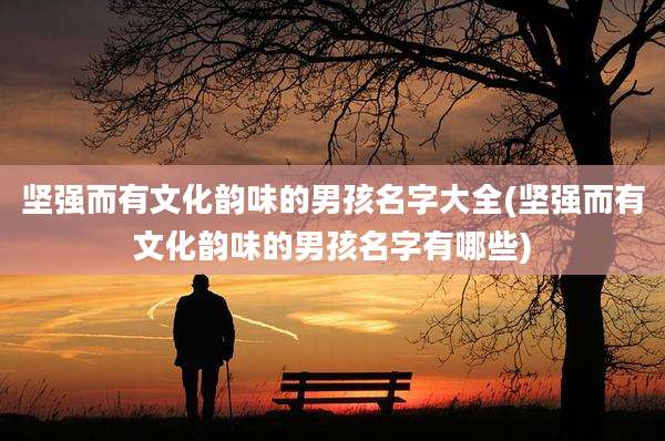 坚强而有文化韵味的男孩名字大全(坚强而有文化韵味的男孩名字有哪些)