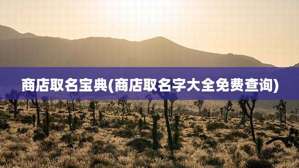 商店取名宝典(商店取名字大全免费查询)