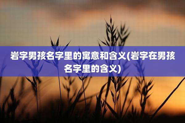 岩字男孩名字里的寓意和含义(岩字在男孩名字里的含义)
