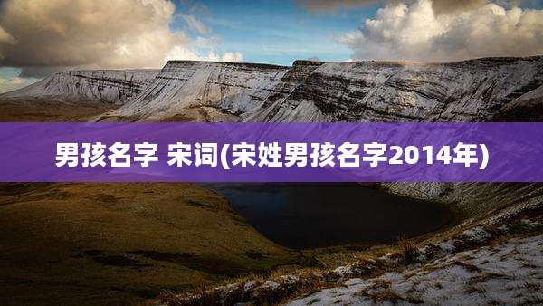 男孩名字 宋词(宋姓男孩名字2014年)