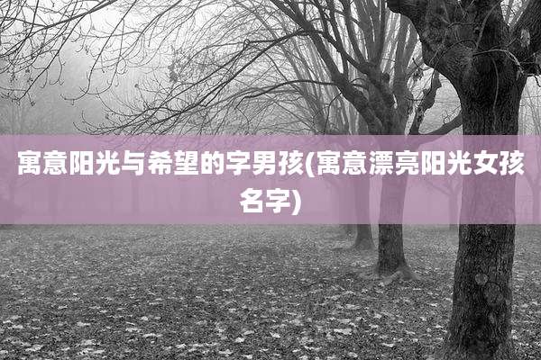 寓意阳光与希望的字男孩(寓意漂亮阳光女孩名字)