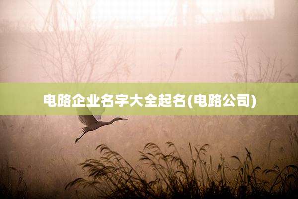 电路企业名字大全起名(电路公司)