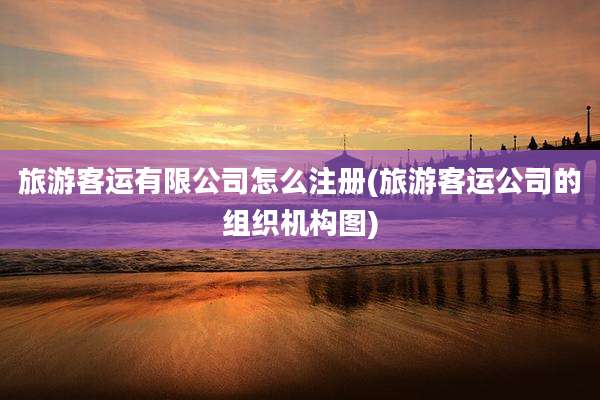 旅游客运有限公司怎么注册(旅游客运公司的组织机构图)
