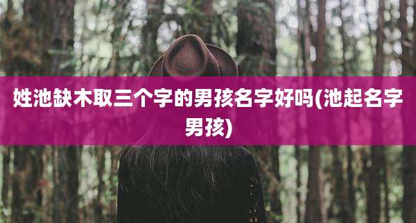 姓池缺木取三个字的男孩名字好吗(池起名字男孩)